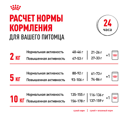 Cухой корм Royal Canin Mini Adult (МИНИ ЭДАЛТ) 8 кг
